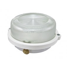 Светильник НПП 03-100-005.03 У3 (корпус с обручем без защитной решетки, белый) TDM
